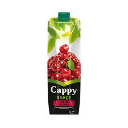 CAPPY VİŞNE 1LT