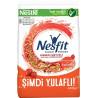 NESFİT KIRMIZI MEYVELİ480GR