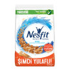 NESFİT SADE480GR