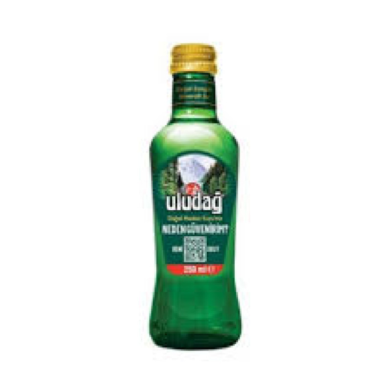ULUDAĞ VİDALI MADEN SUYU 250ML