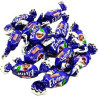 ŞORAY ELVİRA VİŞNE 1KG