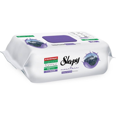 SLEEPY YÜZEY TEMİZLİK HAVLUSU DAĞ ESİNTİSİ 100 YAPRAK