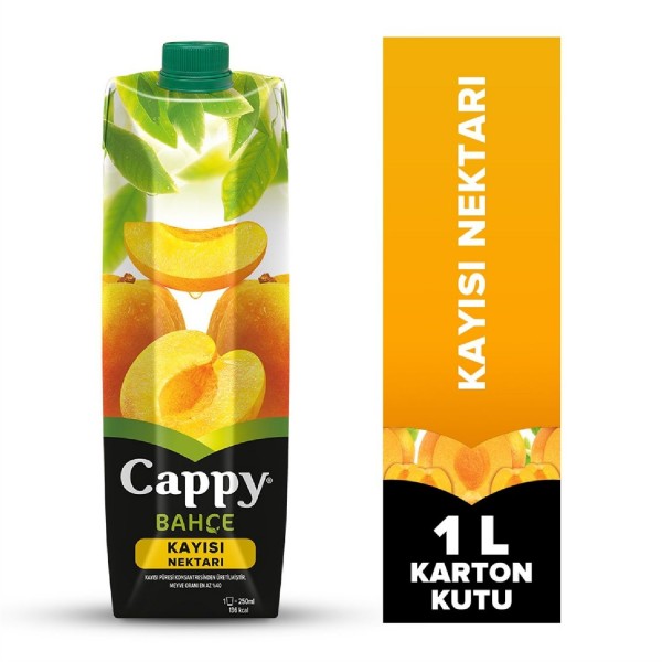 CAPPY KAYISI 1LT